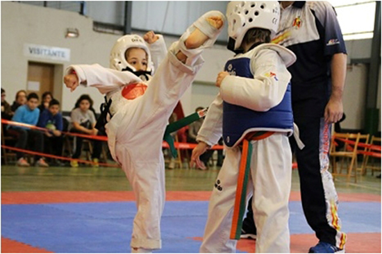 Exhibición de Taekwondo en Maluenda